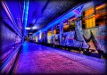 356 - blue train - ROMBOUTS Rudi - belgium
